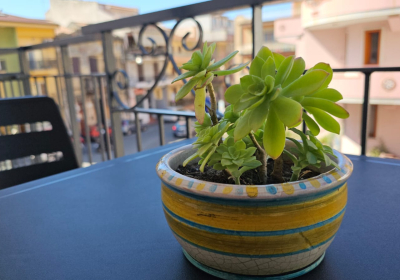 Bed And Breakfast Fragolina